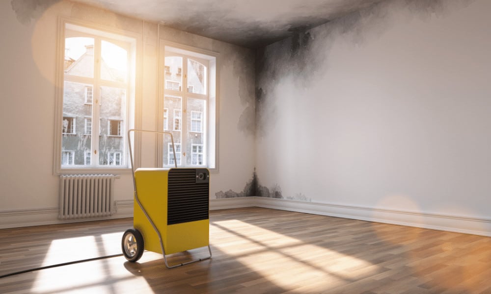 When to Opt for Dehumidifiers and Air Conditioners?