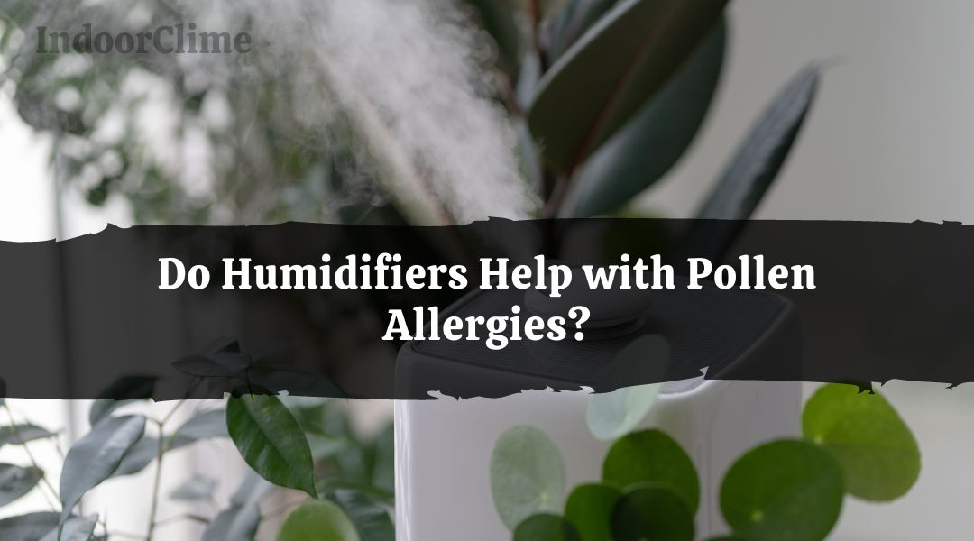 Can Humidifiers Help with Pollen Allergies