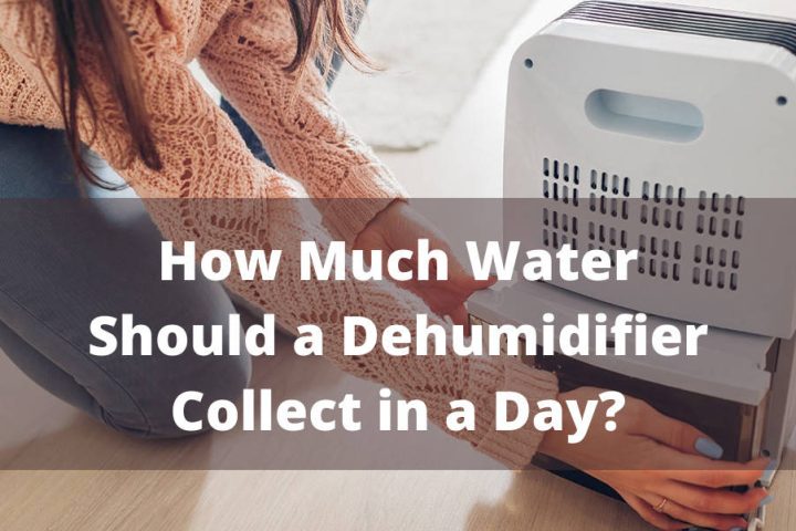 How Much Water Should a Dehumidifier Collect in one Day