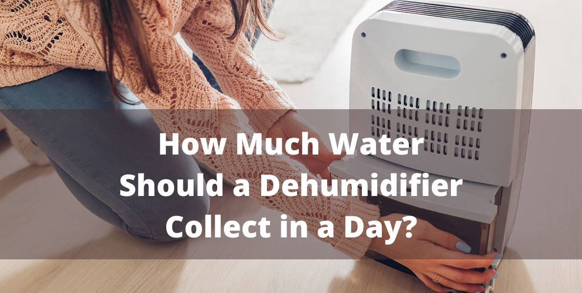 How Much Water Should a Dehumidifier Collect in one Day