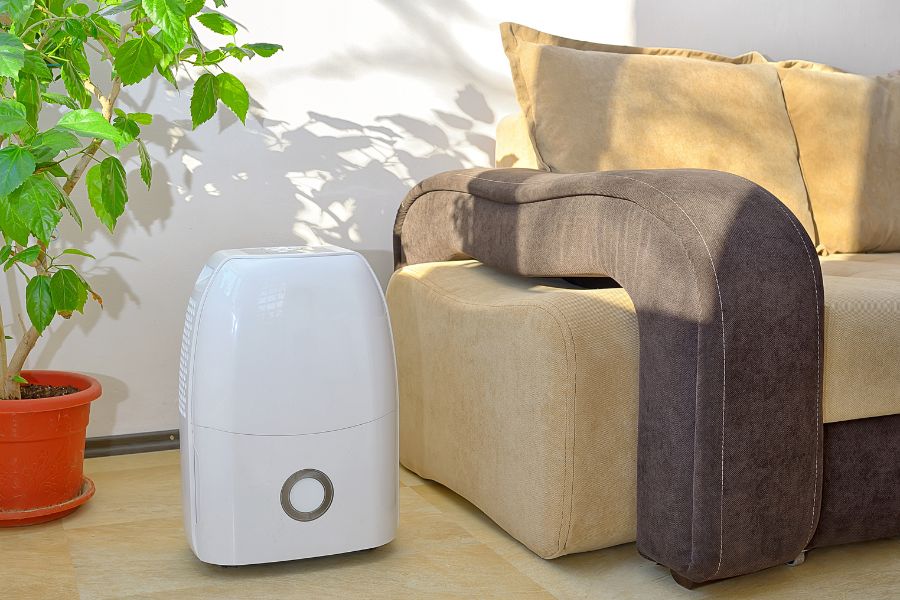 Common Mistakes When Searching For A Dehumidifier