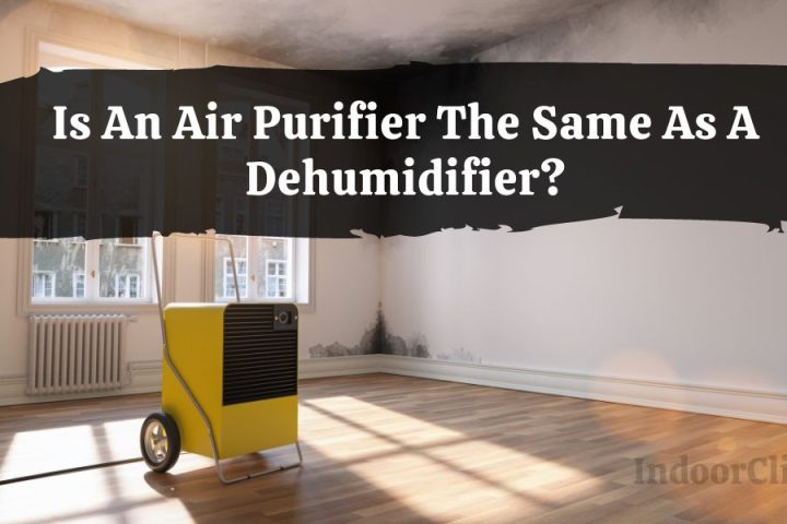 Is An Air Purifier The Same As A Dehumidifier?