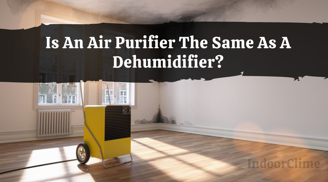 Is An Air Purifier The Same As A Dehumidifier?