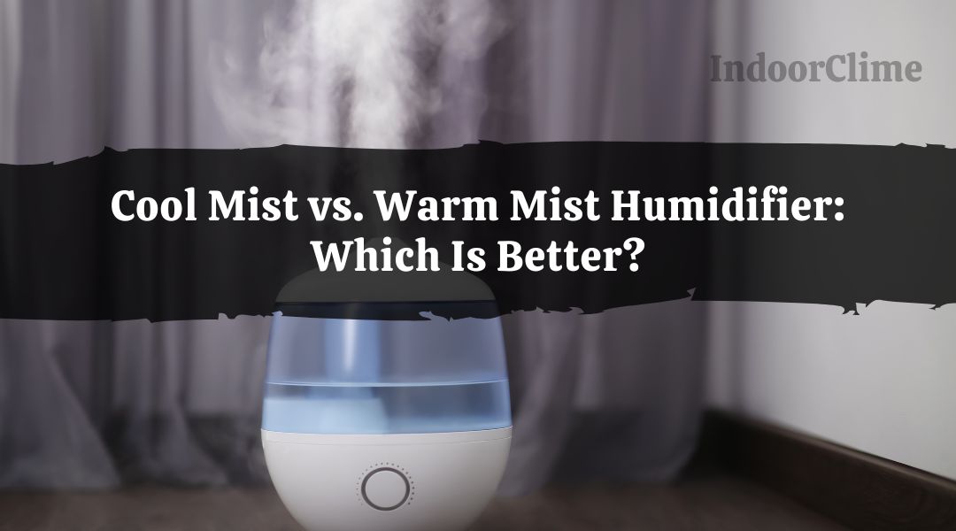 Cool Mist vs. Warm Mist Humidifier Which Is Better