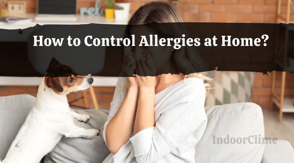 How to Control Allergies at Home? IndoorClime