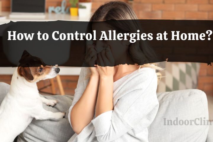 How to Control Allergies at Home?
