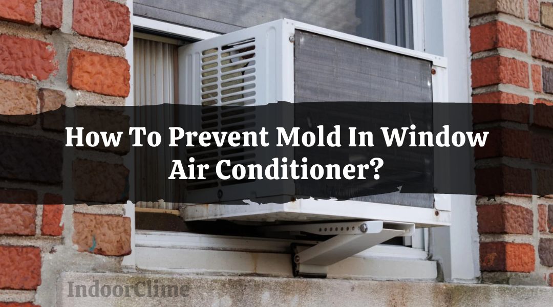 How To Prevent Mold In Window Air Conditioner?