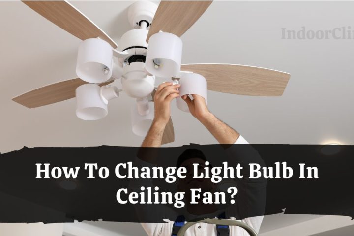 How To Change Light Bulb In Ceiling Fan?