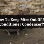 Keep Mice Out Of Air Conditioner Condenser