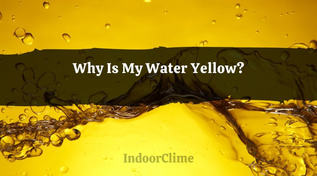 Why Is My Tap Water Yellow? IndoorClime