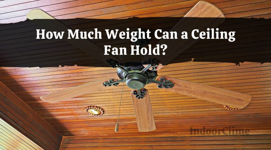 How Much Weight Can a Ceiling Fan Hold? - IndoorClime