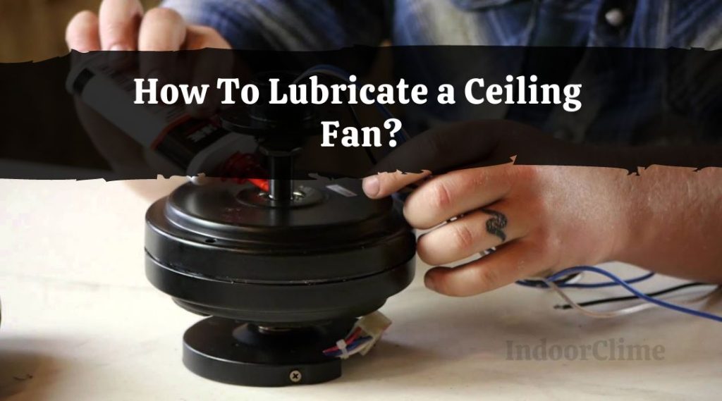 How To Lubricate a Ceiling Fan? IndoorClime