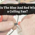 What Is The Blue And Red Wires On a Ceiling Fan?