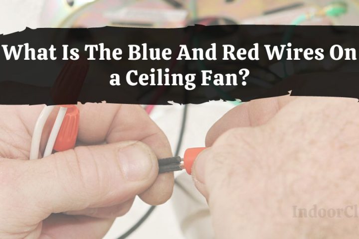 What Is The Blue And Red Wires On a Ceiling Fan?