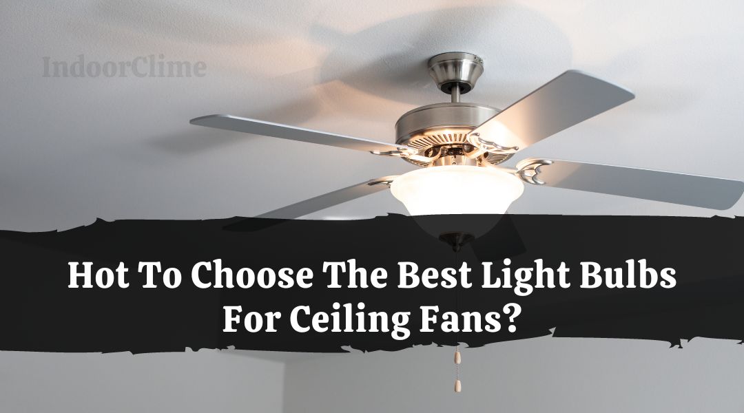 Hot To Choose The Best Light Bulbs For Ceiling Fans?