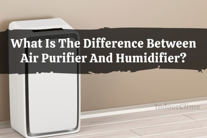What Is The Difference Between Air Purifier And Humidifier?