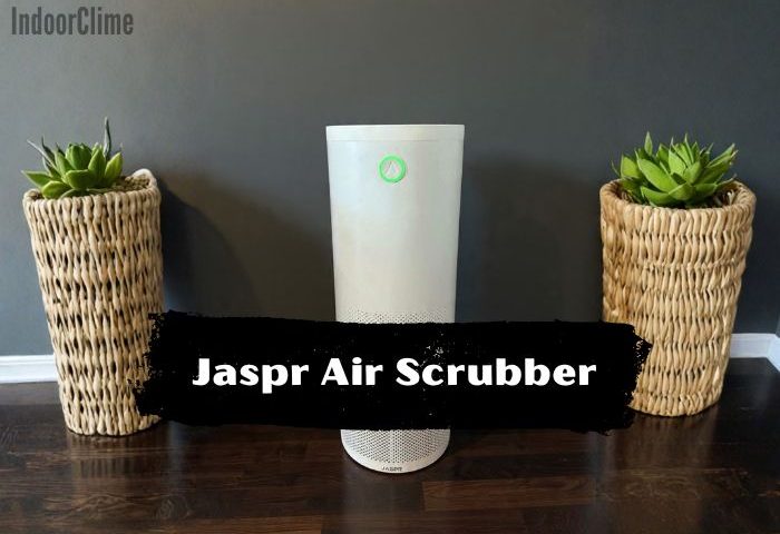 Honest Review of the Jaspr Air Scrubber After 1 Month of Use