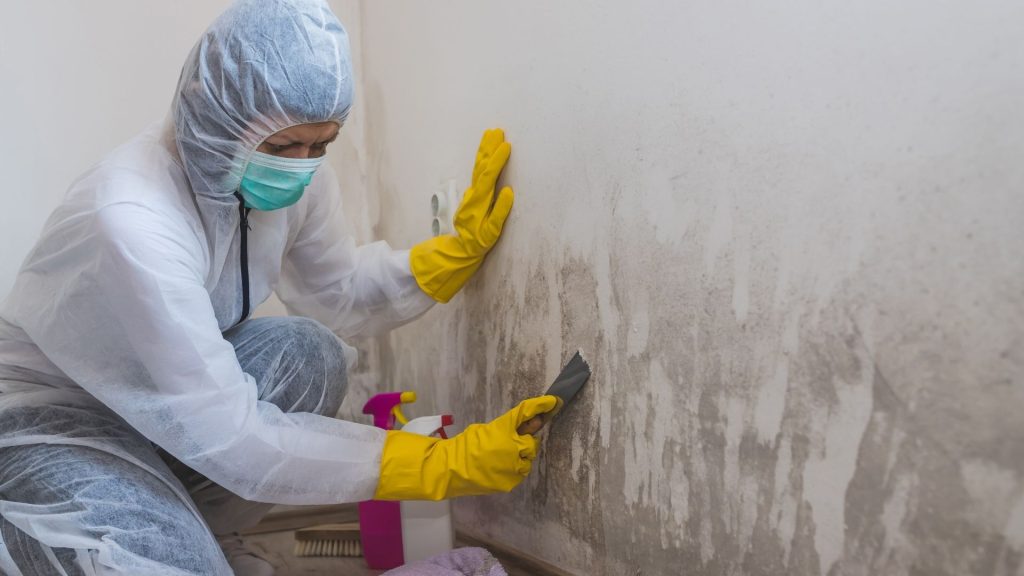 How to Get Rid of Mold in Your Home How to Get Rid of Mold in Your Home