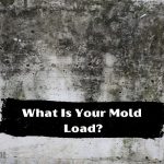 What Is Your Mold Load?