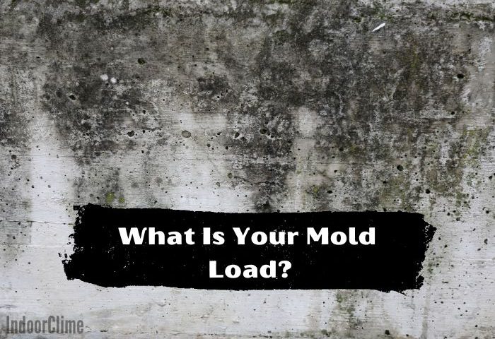 What Is Your Mold Load?