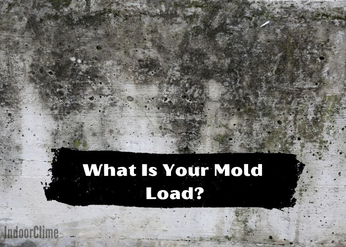 What Is Your Mold Load?