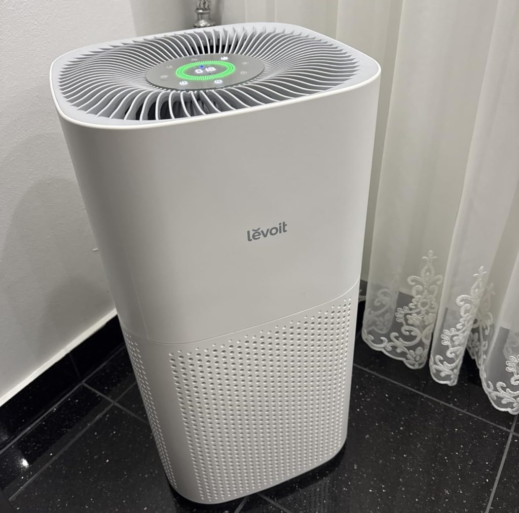Levoit Core 600S-P: the strongest budget alternative here